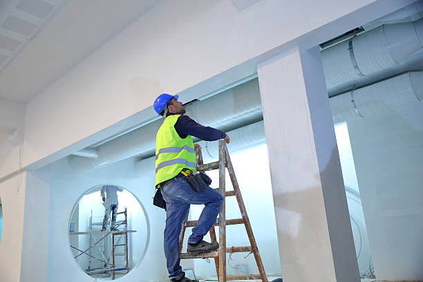 Best Comprehensive Air Testing for Mold Contaminants  in Smyrna, TN